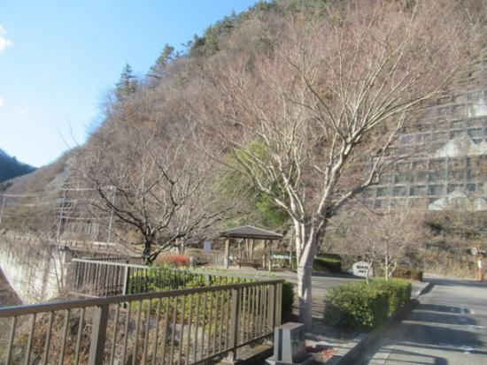 令和7年12月9日の深城ダム2