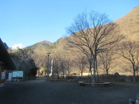 令和7年12月9日の小金沢公園1