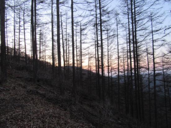 平成29年4月16日撮影の奈良倉山山中(日の出前)