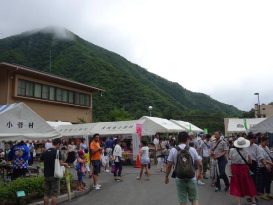 平成29年7月30日に撮影した森と湖に親しむつどい1