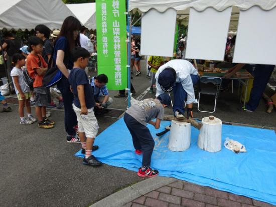 平成29年7月30日に撮影した森と湖に親しむつどい5