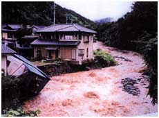 亀沢川(敷島町)