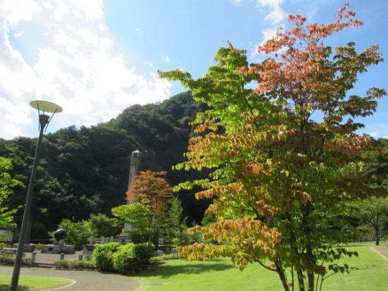 平成29年9月21日に撮影した小金沢公園