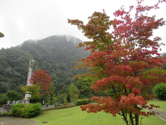 平成29年10月4日に撮影した小金沢公園