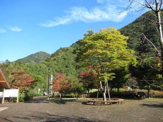 平成29年10月26日に撮影したダム小金沢公園1