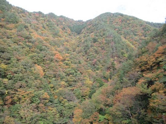 平成29年11月1日に撮影したダム周辺の紅葉