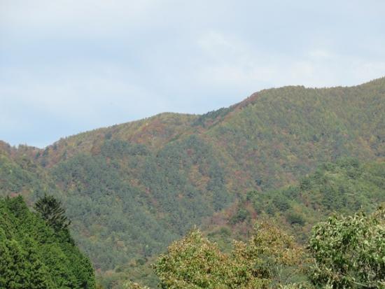 平成29年11月1日に撮影したダム周辺の紅葉3
