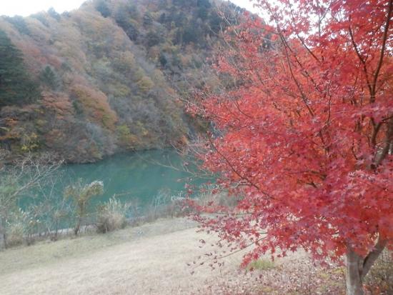 平成29年11月21日に撮影した小金沢公園3