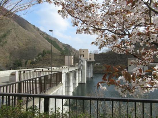 平成30年4月5日に撮影したダムとヤマザクラ