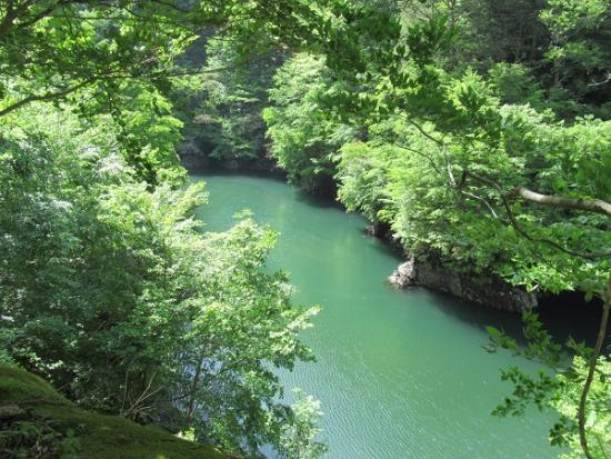 平成30年5月11日に撮影した上流2