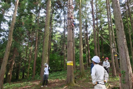 林業架線免許講習支柱の建て方および点検