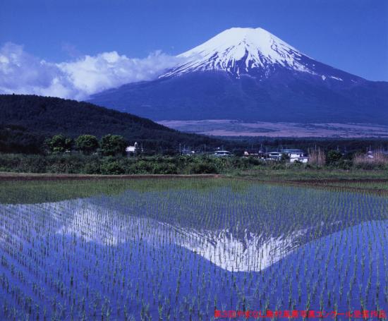 第3回コンクール入賞「田園風景」