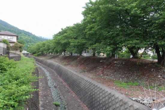 現在の旧利根川