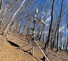 鹿柵皆伐地の中継機