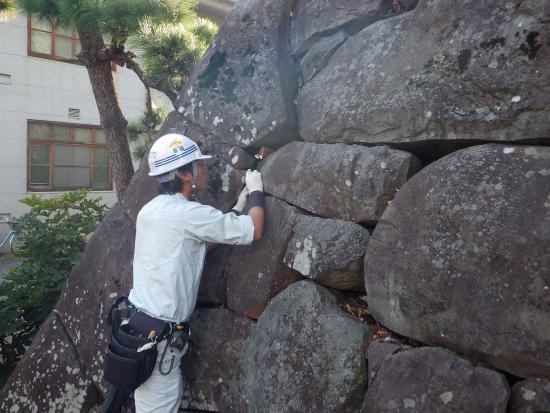 甲府城の石垣維持状況