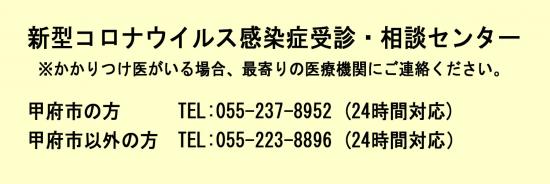 新型コロナウイルス感染症受診・相談センター