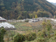 倉科団地2
