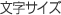 文字サイズ