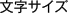 文字サイズ