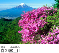 春の富士山の風景