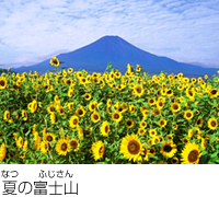 夏の富士山の風景