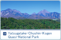 Yatsugatake-Chushin-Kogen Quasi-National Park