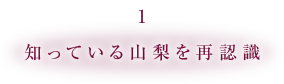 1 知っている山梨を再認識